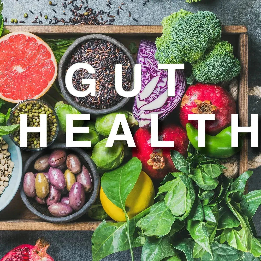 Gut Health & Wellness